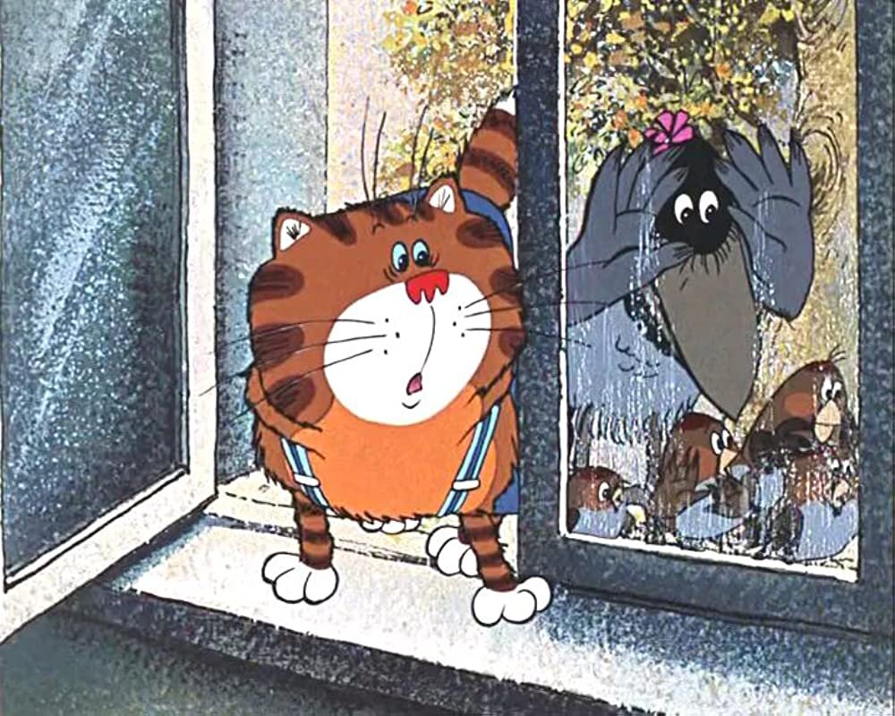 Кот из попугая кеши картинки
