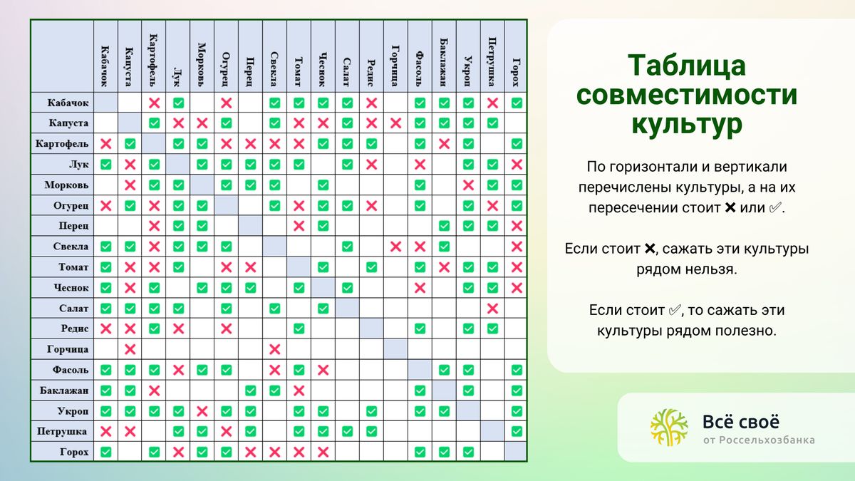 Таблица совместимости культур. Сохраните, чтобы не потерять