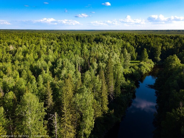    Фото: Дмитрий Кандинский / vtomske.ru