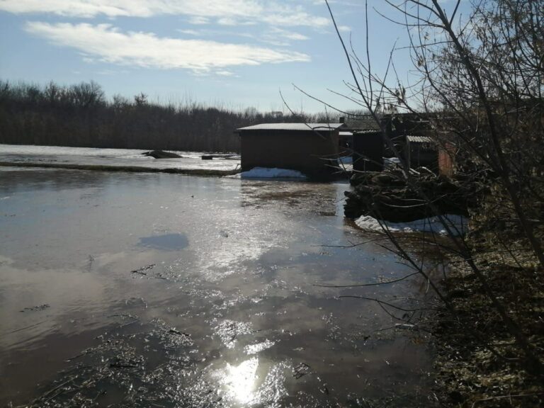    Уровень воды в реке Большой Кумак в Новоорске достиг опасной отметки Кристина Просвиркина