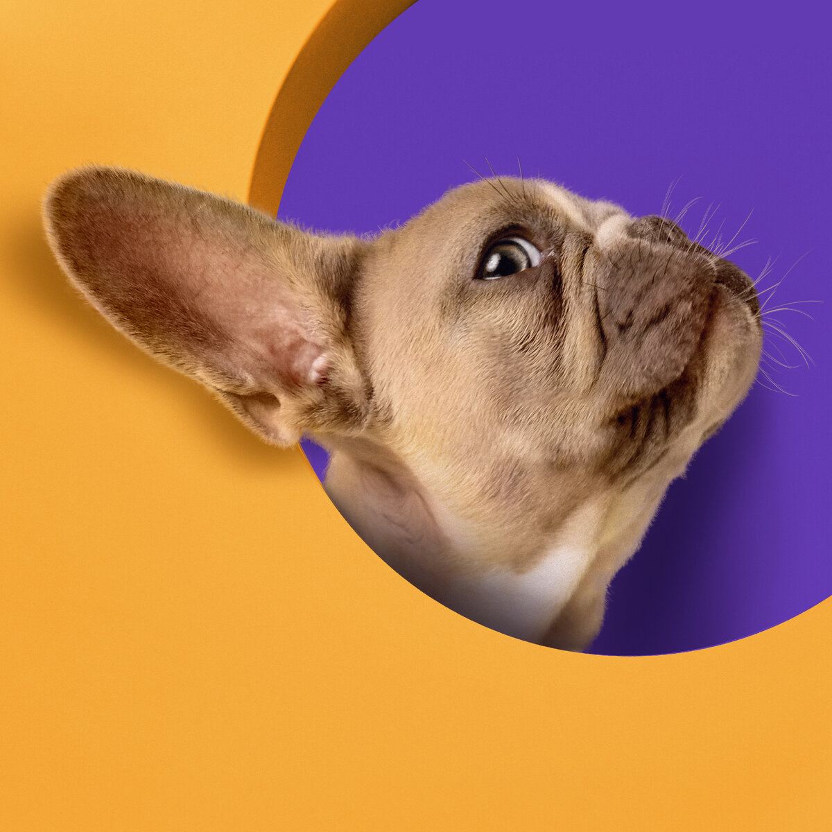 Изображение от Freepik