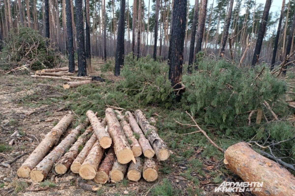    В Омске запустили петицию против строительства «Северного обхода»