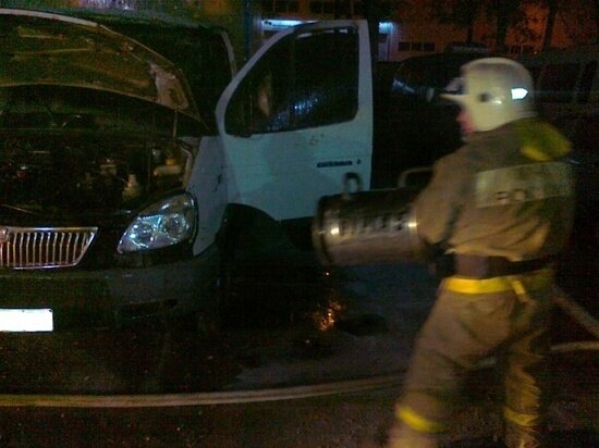     Фото: ГУ МЧС России по Томской области