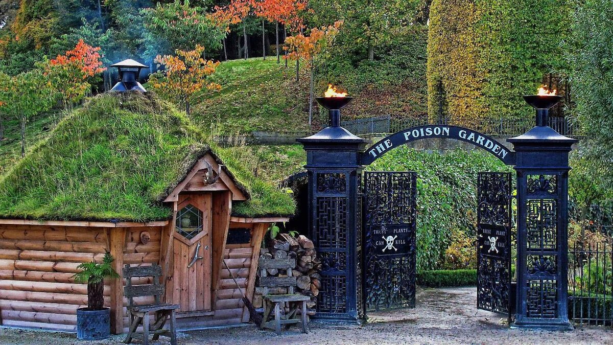 Сад ядовитых растений Альнвика, Alnwick Poison Garden