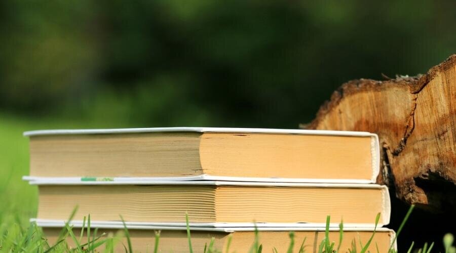    Что почитать любителю детективов? Фото: по лицензии PxHere