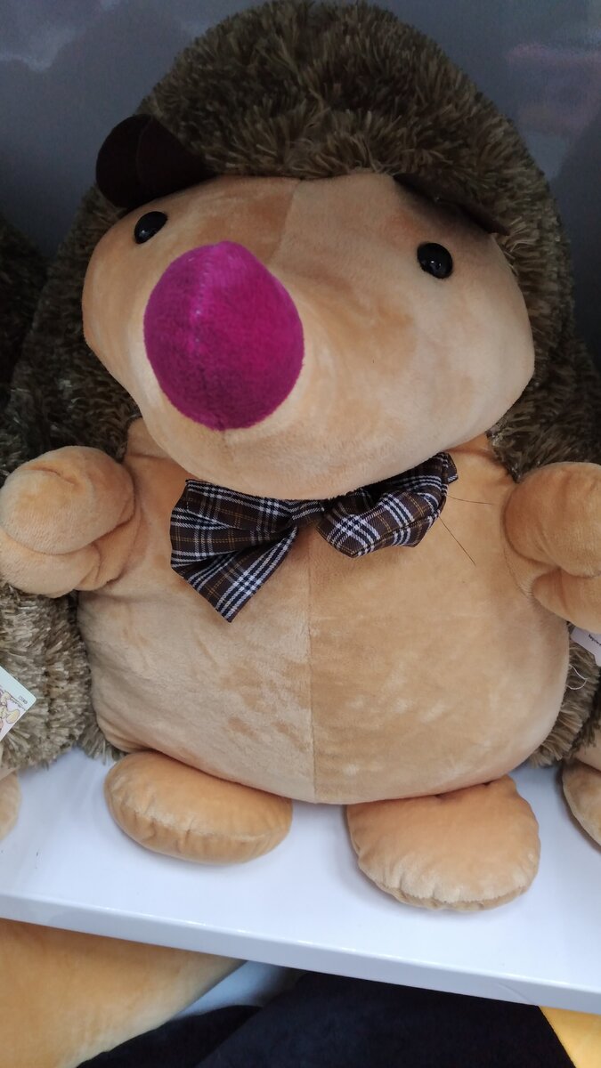 Фото из магазина игрушек. Реального ежика не удалось сфотографировать.