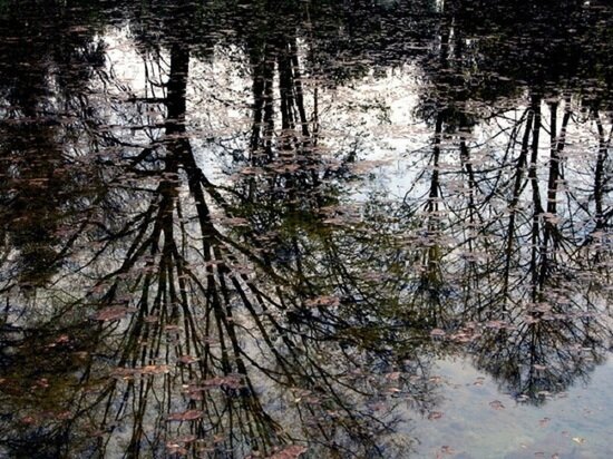     ФОТО: WWW.FREEIMAGES.COM