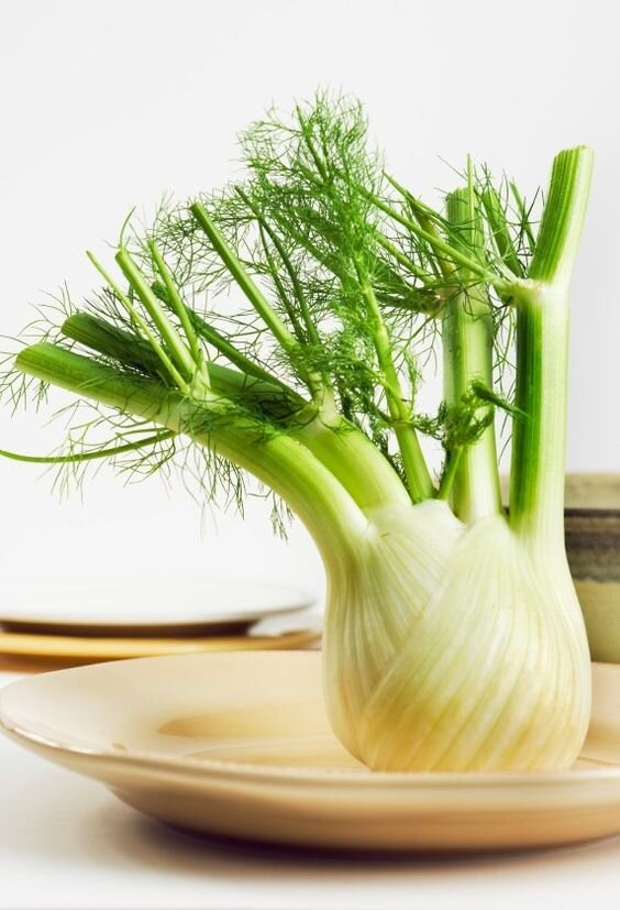 Фото из открытых источников Интернет