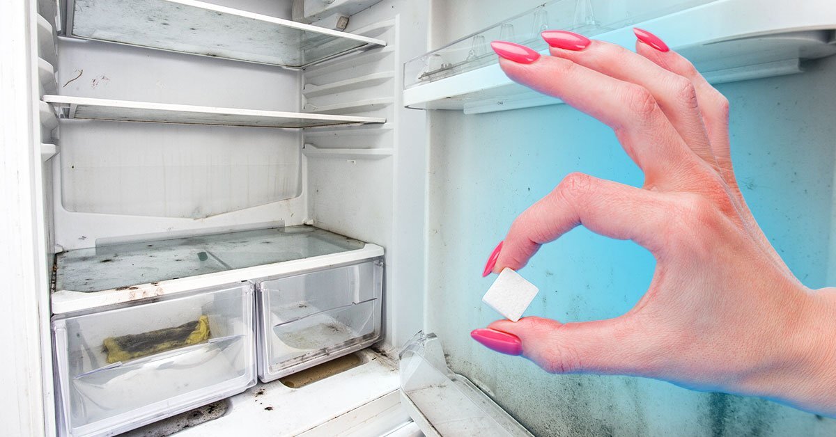 Почему в холодильнике появляется. Открывание холодильника. Холодильник для одежды. Внутри холодильника появилась Вмятина. Открывание холодильника снизу без ручки.