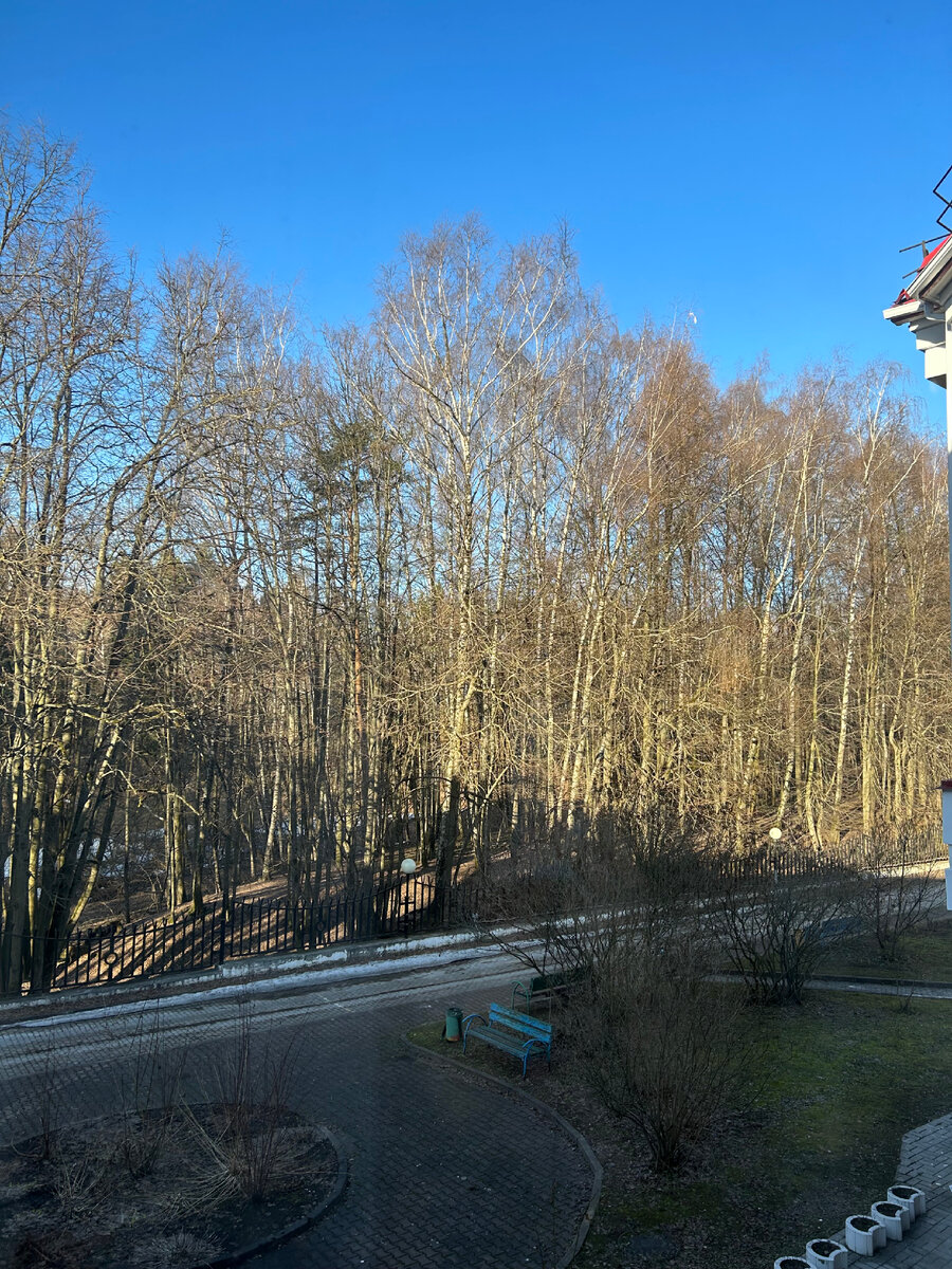 А вид из окна симпатичный)