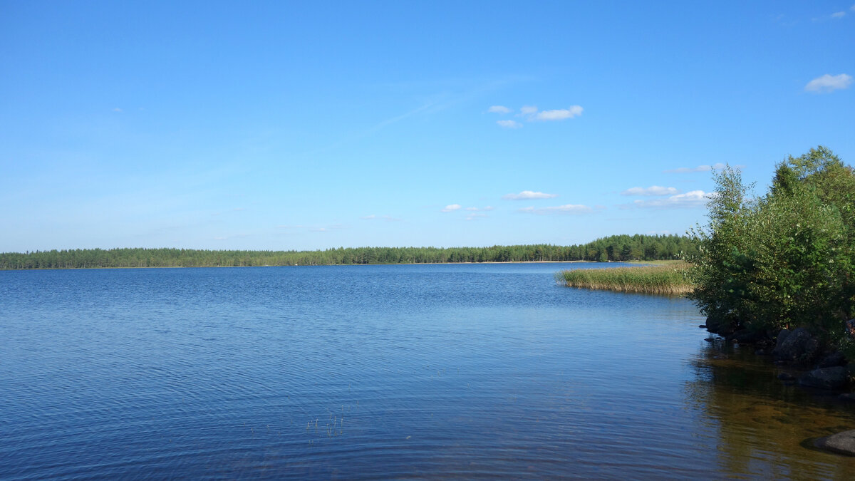 Еловое озеро Нижегородская область
