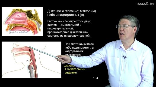 Дубынин В.А. - 100 часов школьной биологии - 1.8 Дыхание