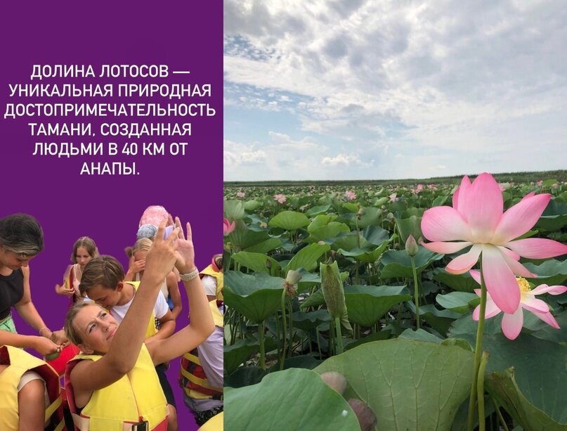 Самая популярная локация с лотосами в Краснодарском крае — озеро розовых красно книжных растений. На быстроходном катере отправимся в Ахтанизовский лиман созерцать божественные цветы. Пробираясь из толщи ила, лотос несет в себе целомудрие и красоту. Вы узнаете, как эта диковинка (родина которой – Восток) появилась в нашем лимане, а также услышите пару милых легенд о цветке. У вас будет время для фотосессии с лотосами.