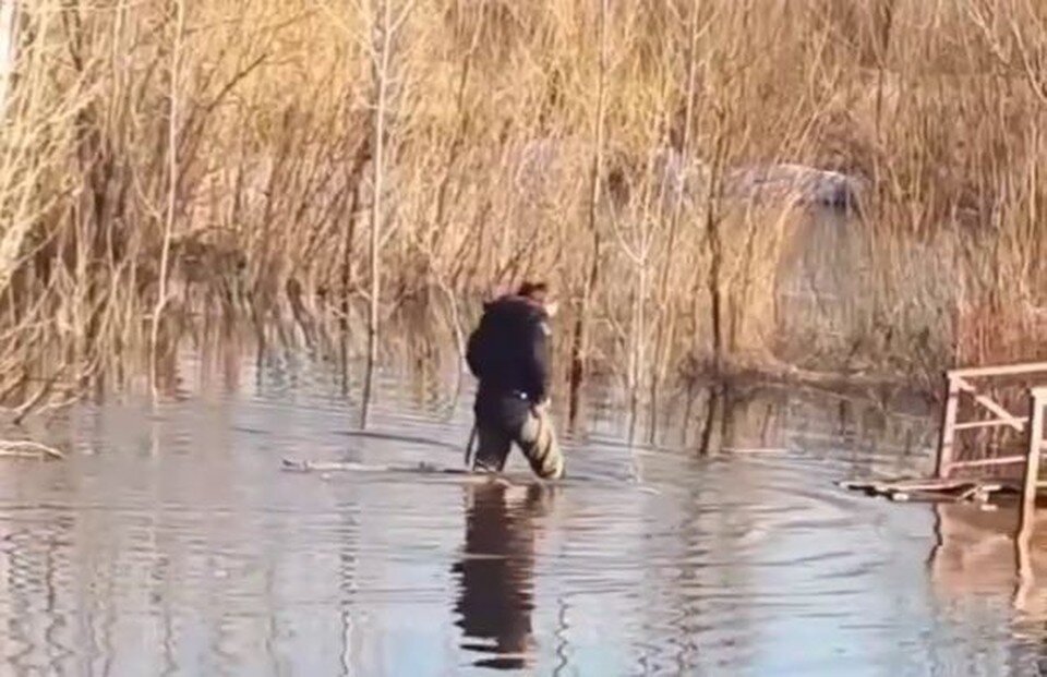     Фото: скриншот с паблика «В курсе 22»