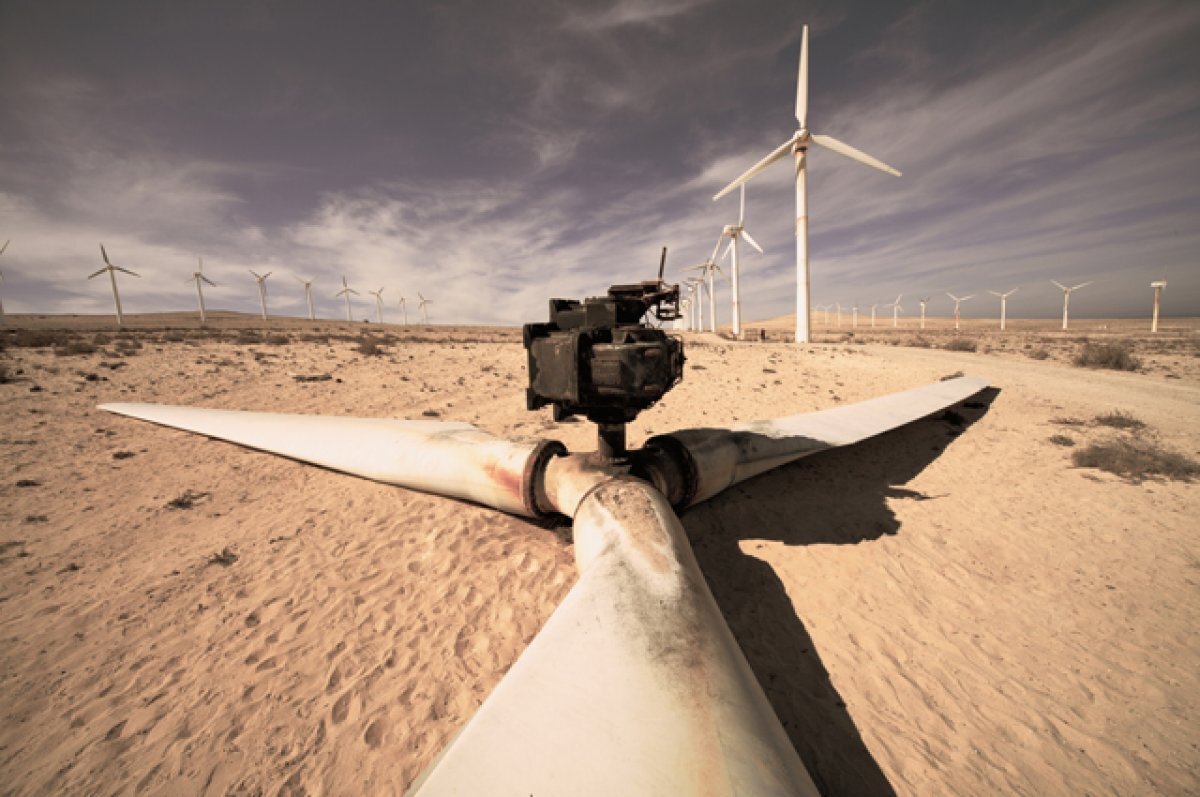    Эксперт Чуркина: КНР лидирует по ряду технологий возобновляемой энергетики