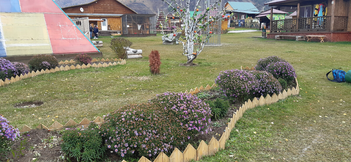 На территории пасеки: справа - медовая лавка, прямо - апидомик, слева - домик енота.