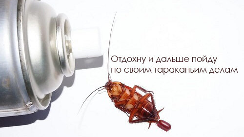 ...как и предыдущие 235 млн лет