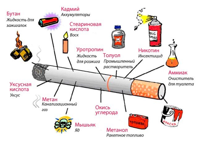 О вреде курения на организм человека | БУЗ УР 