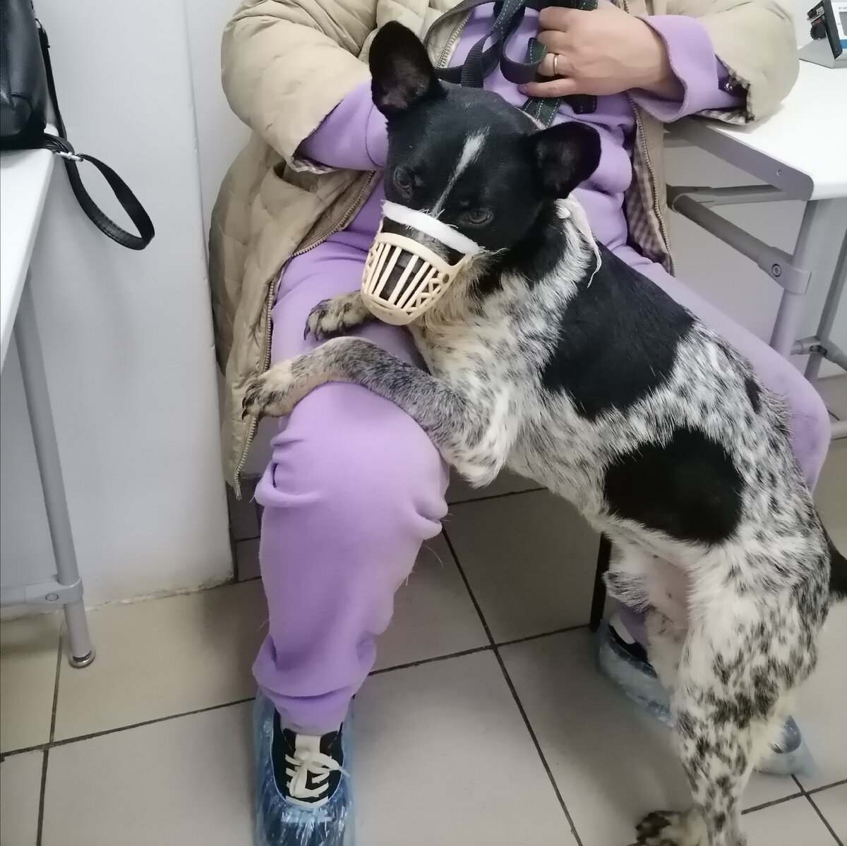 Лайм.. Пришлось врачам выделить нам отдельную комнату.. 