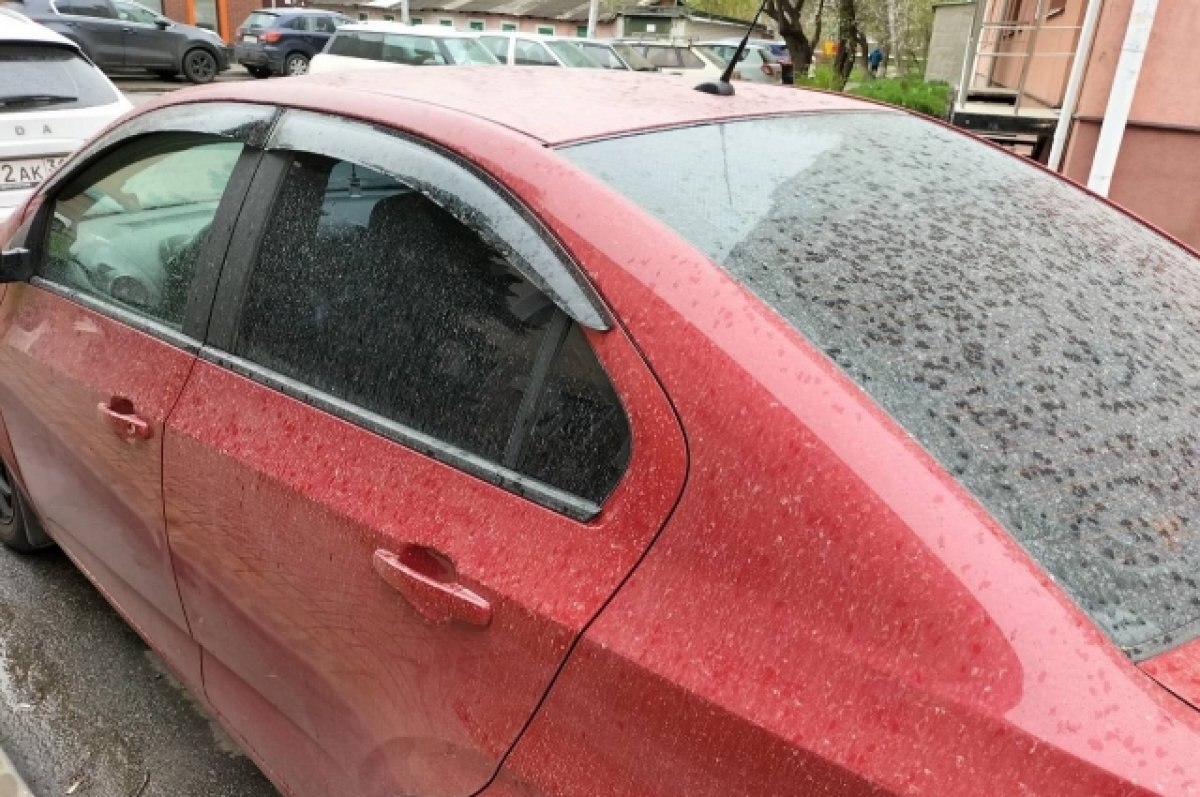    Пепел обнаружили в налёте, оставшемся после дождя в Белгородской области