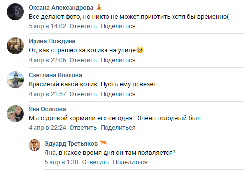 В группе шла бурная переписка. Все хотели, чтобы кто-нибудь спас кота