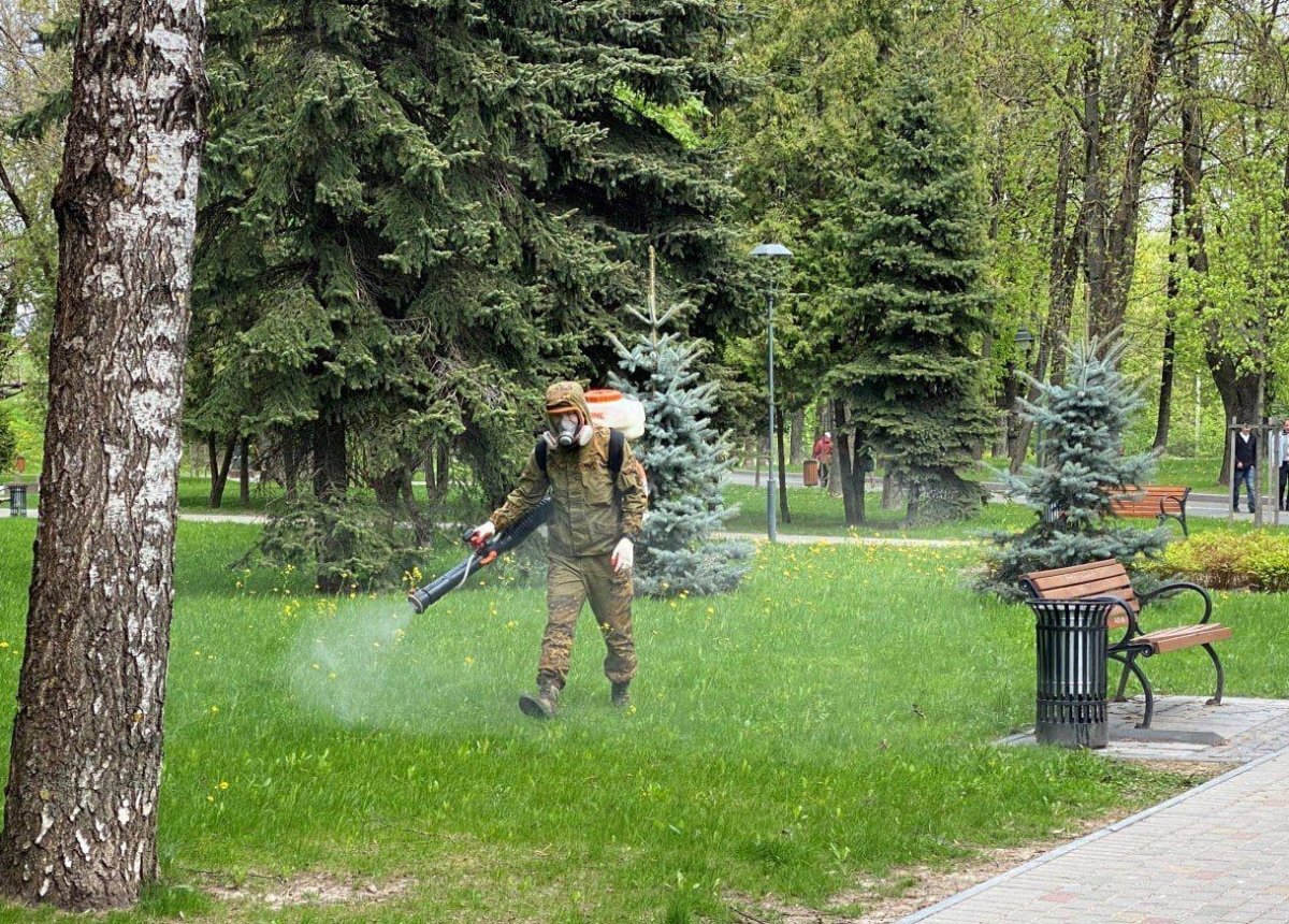   Обработку скверов и парков Пскова от клещей начнут на следующей неделе