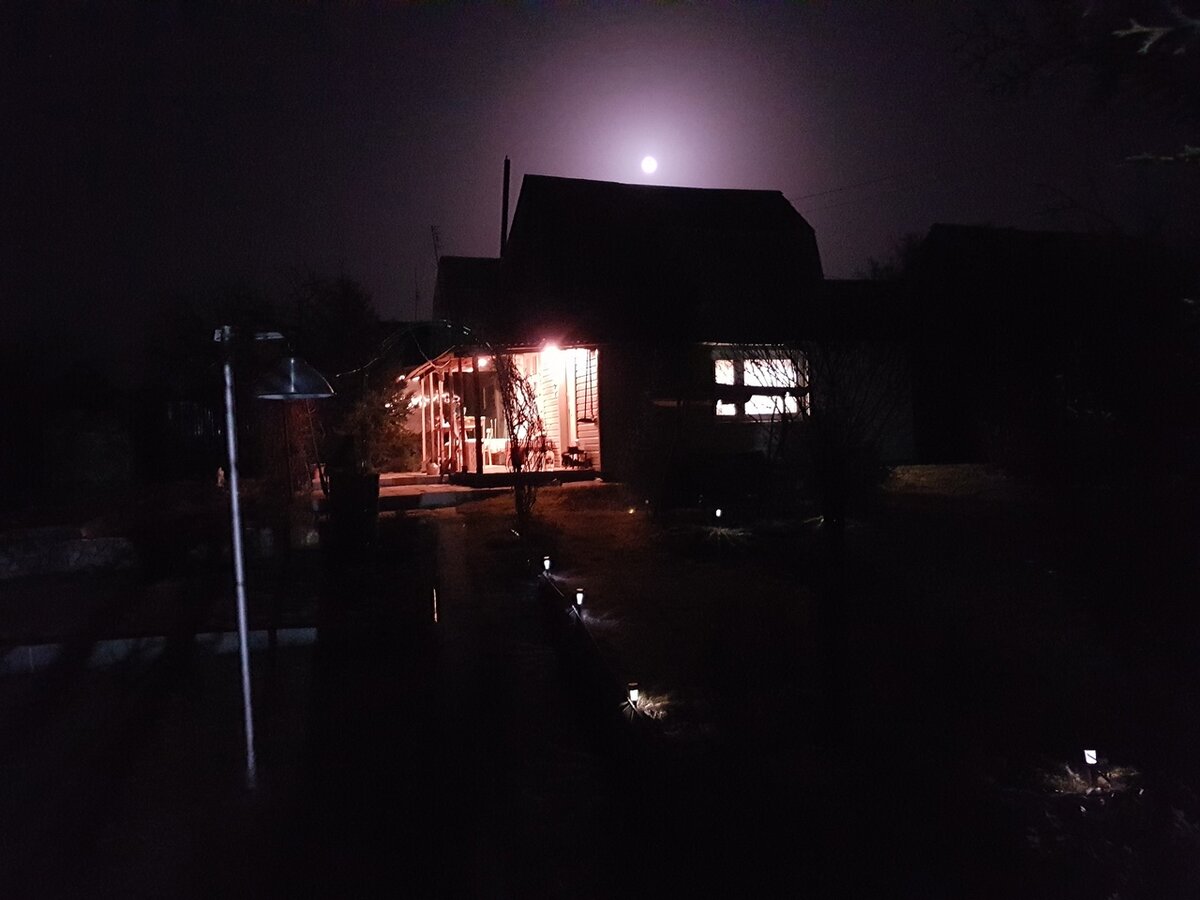 Массив в лесной глуши, всего 300 участков, обжиты из них - 200.  Дорог к нему нет, интернет и телефон не ловит, а ночью улицы массива освещают лишь звёзды и луна