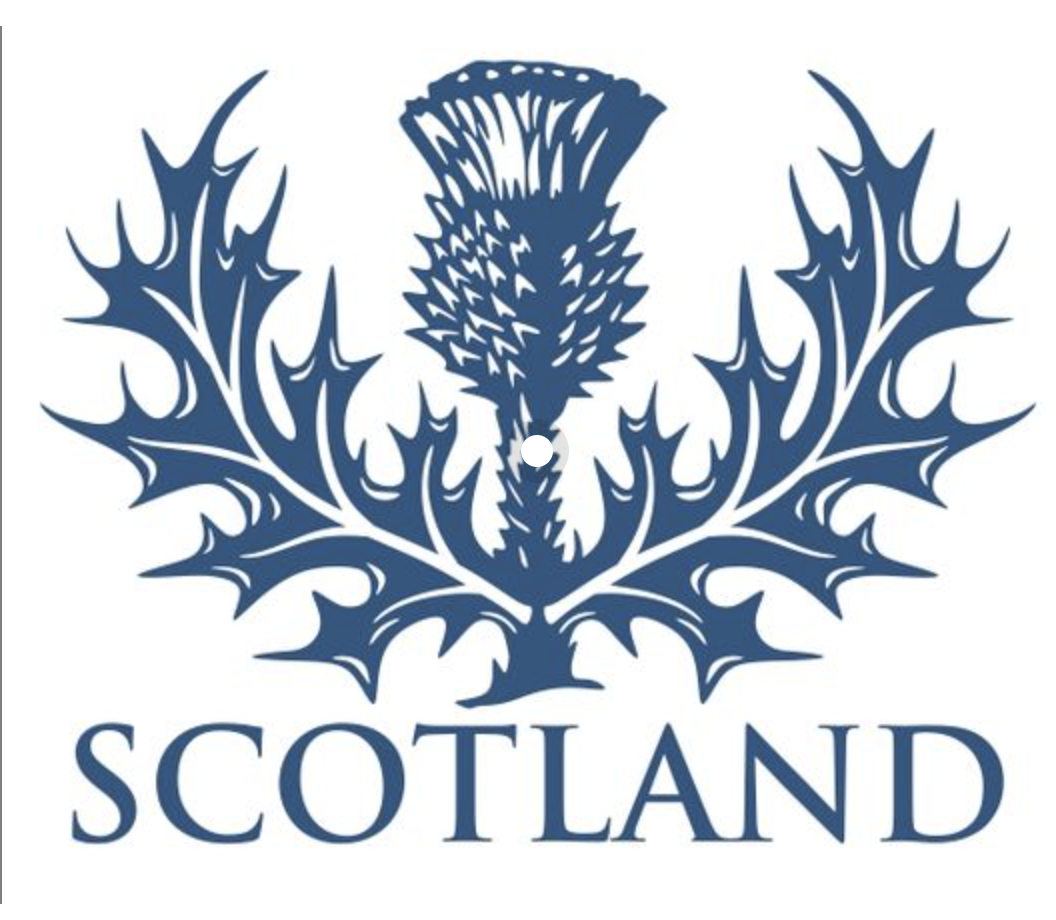 Чертополох символ Шотландии. Цветок чертополоха символ Шотландии. Thistle символ Шотландии. Чертополох символ Шотландии Легенда. Scotland plant symbol