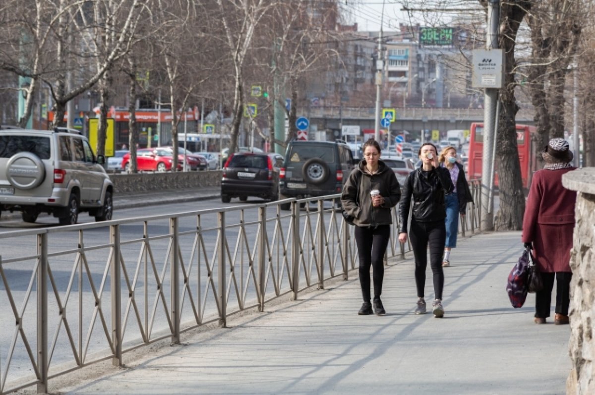    В Новосибирске ожидается потепление до +12 градусов на следующей неделе