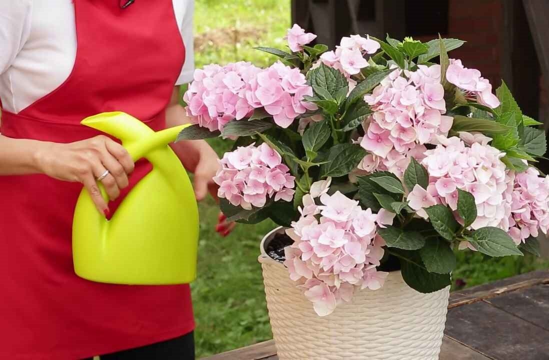 фото с интернета