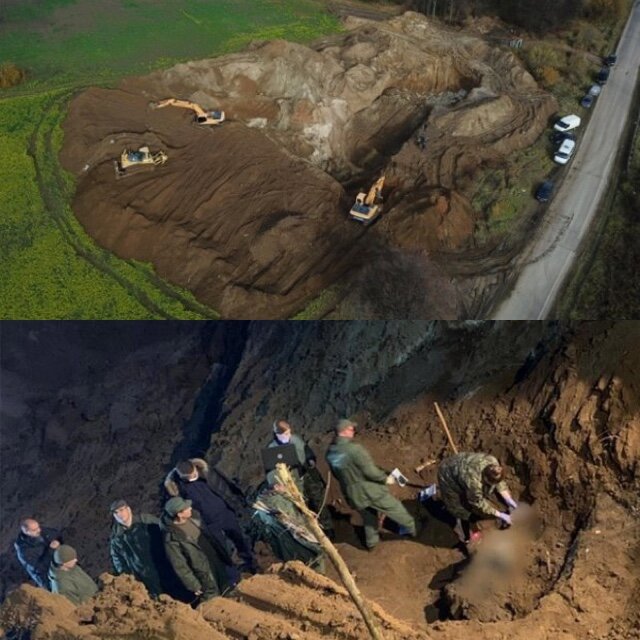 Древо жизни 