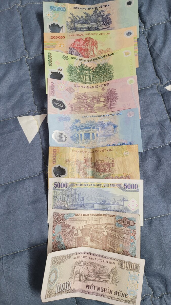 Обратная сторона донг. 