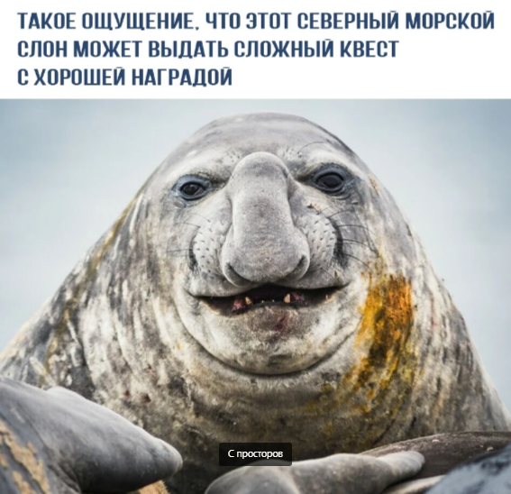 Добавьте описание