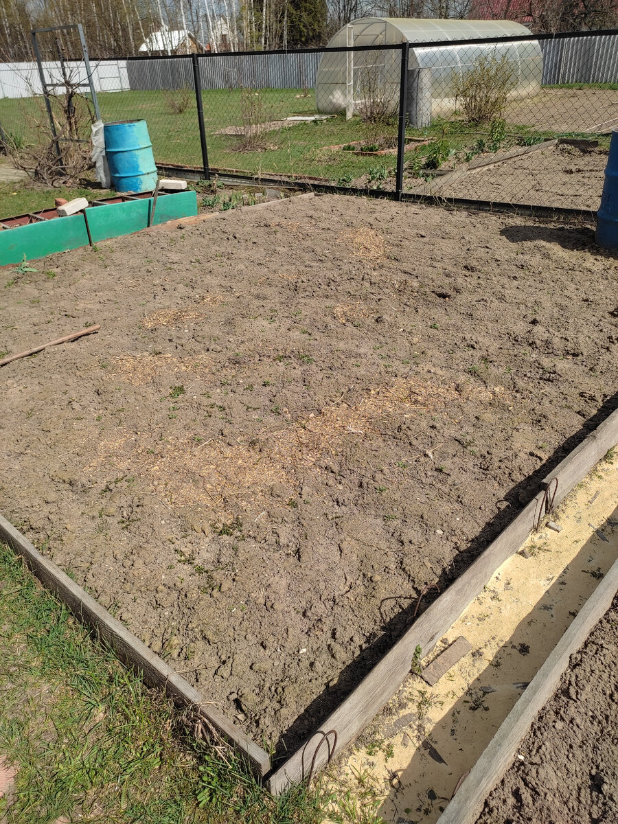 Картофельное поле. 