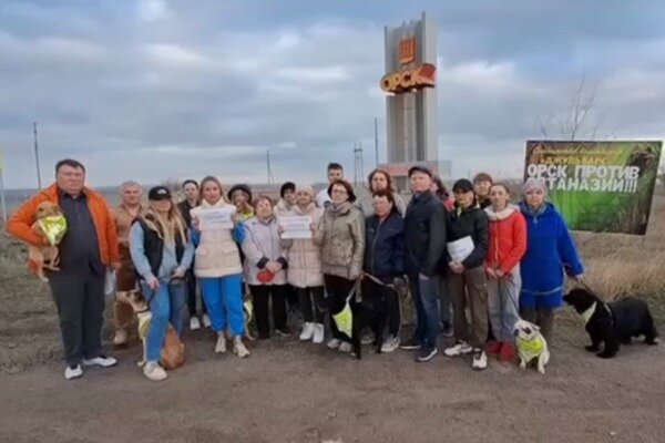    «Мы против пролития крови»: Зоозащитники Оренбургской области обратились к Путину с просьбой не вводить эвтаназию для бездомных собак