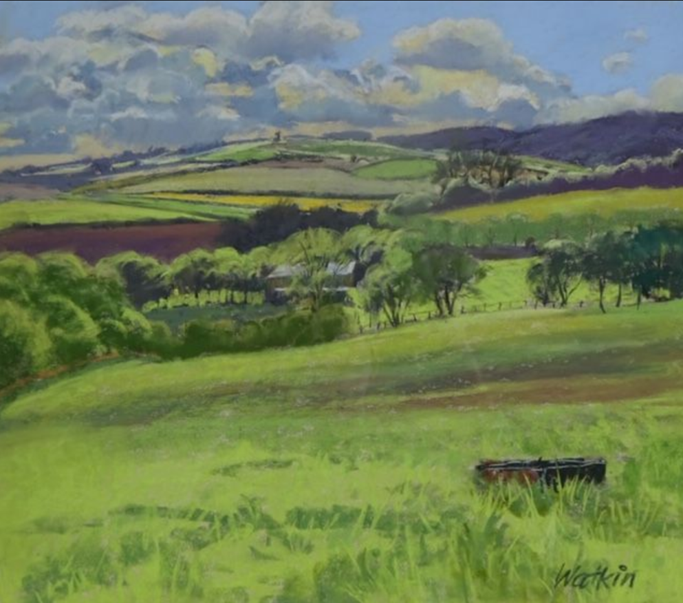 Барри Уоткин. Нижние склоны Квантоков. Пастель 36см x 30см Размер картины 48см x 37см Размер в рамке 
http://www.barrywatkin.co.uk/OriginalPaintings.html
