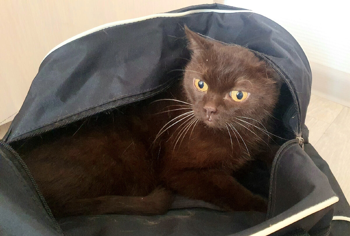 Фото Социальной службы "Оптима"