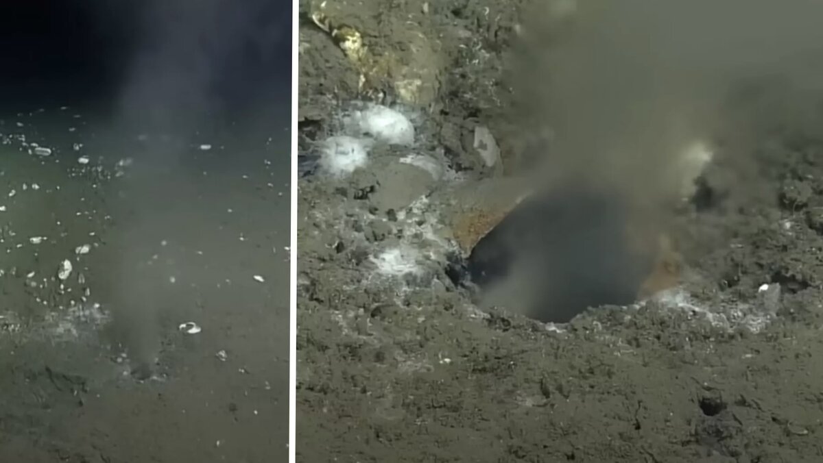 Фото: livescience.com