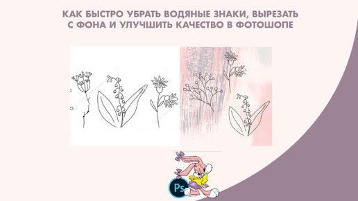 3 самых простых способа убрать фон с фотографии