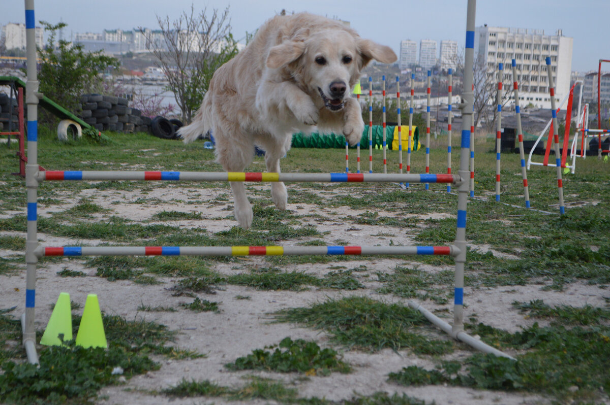 За секунду, как свалить барьер )))