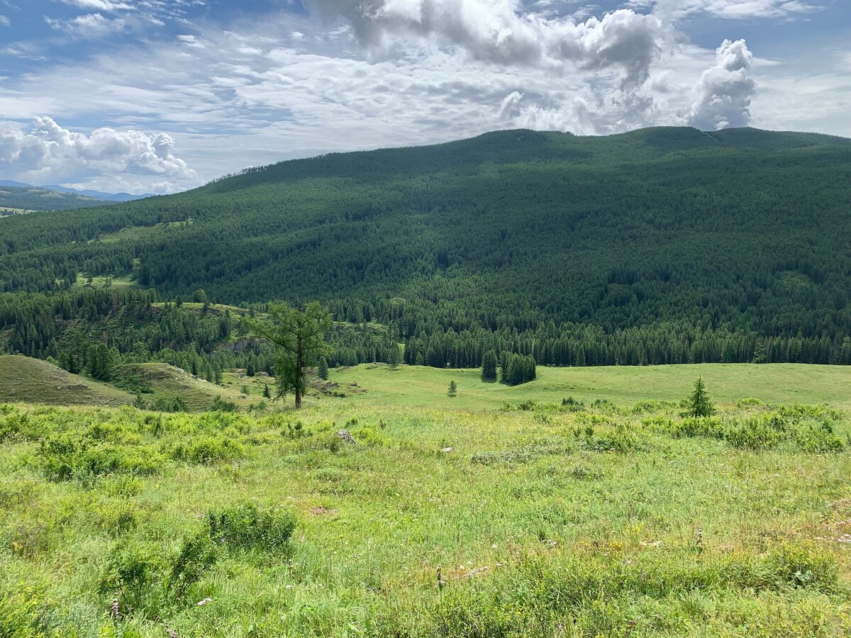 Конный тур: Тайны Улагана. 