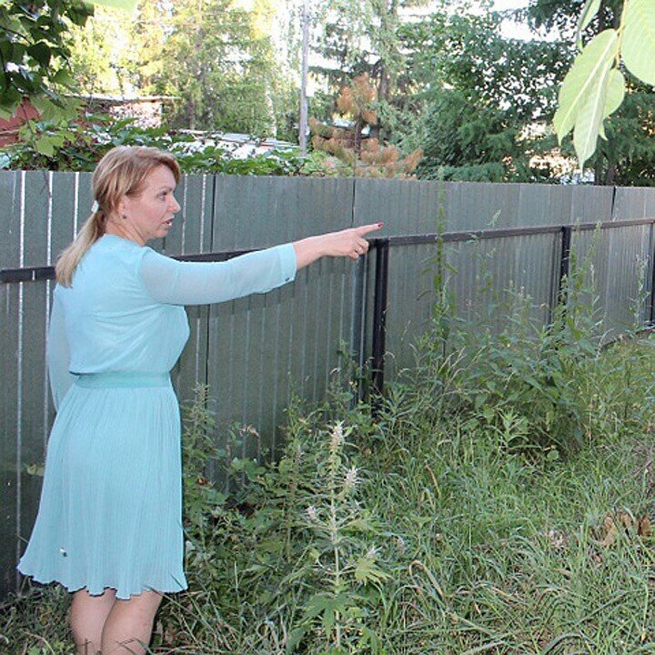 Фото из открытых источников.