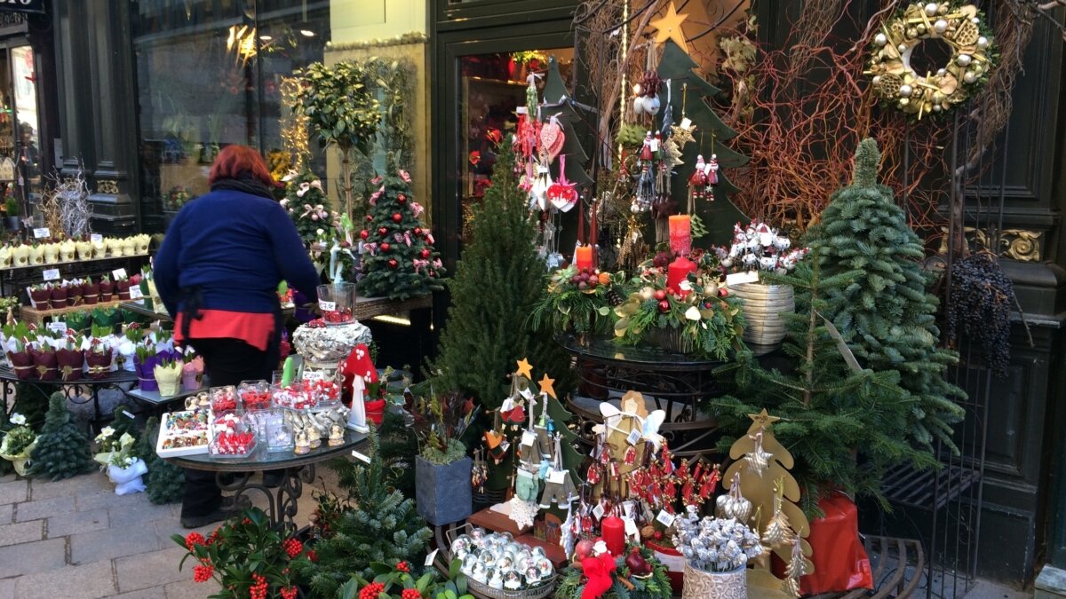 Собственное фото ИА SM-News📷
