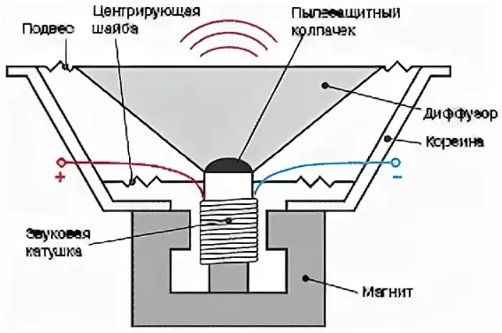 Работа сабвуфера. Электродинамический громкоговоритель схема. Устройство автомобильного динамика. Громкоговоритель схема устройства. Принцип работы громкоговорителя.