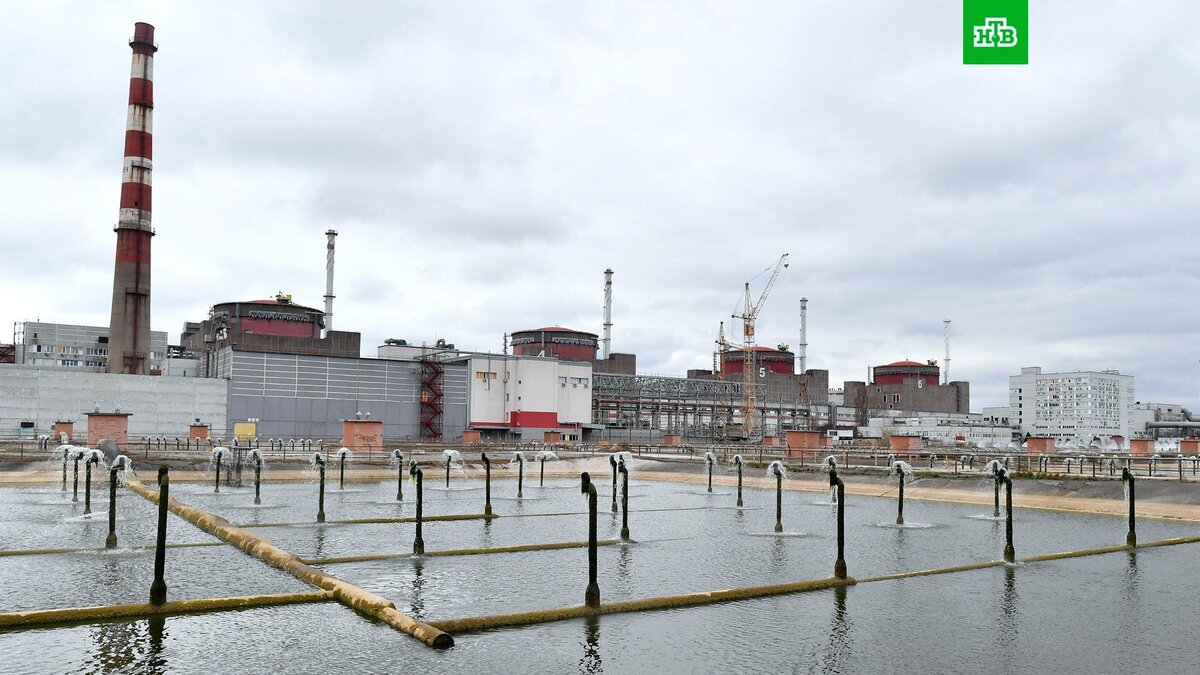    Фото: РИА Новости © 2023