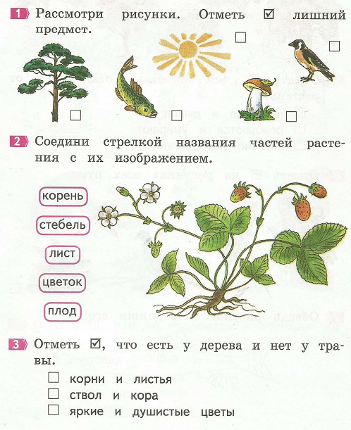 Вахрушев, Харитонова, Бурский: Окружающий мир. 1 класс. Итоговые работы