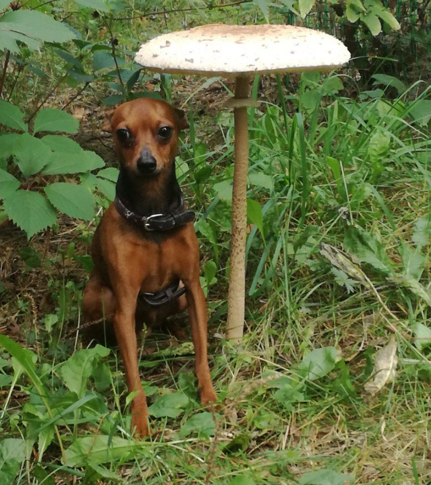 А можно я под зонтиком посижу, пока ситуация не станет понятной и стабильной!))) Фото Анжелы Сотниковой