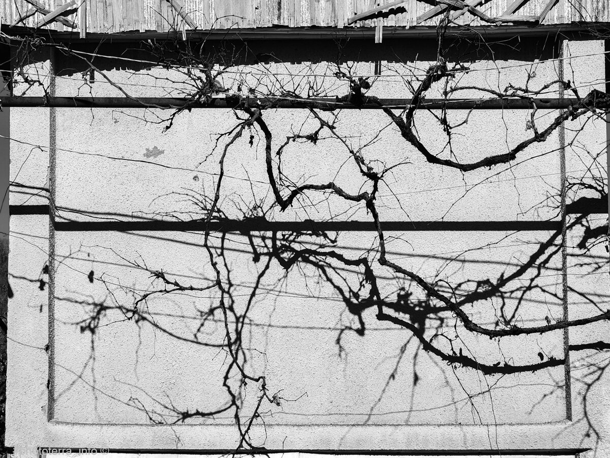 Атихифобия. Концептуальная фотосерия "тени Нового Афона" Фото: Корчагина Татьяна