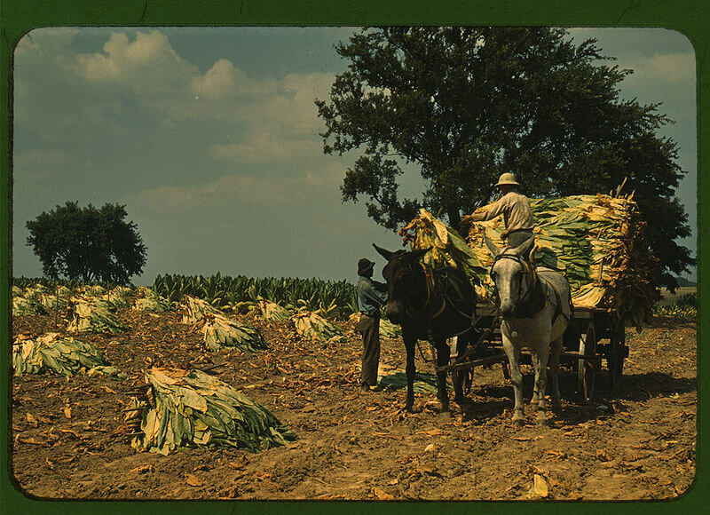 Marion Wolcott Post, for United States Farm Security Administration. Public domain. 1940 год, США