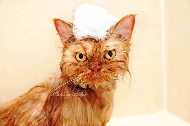 Картина взята из доступных источников интернета 